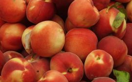 В Самаре зафиксировали резкий рост цен на фрукты