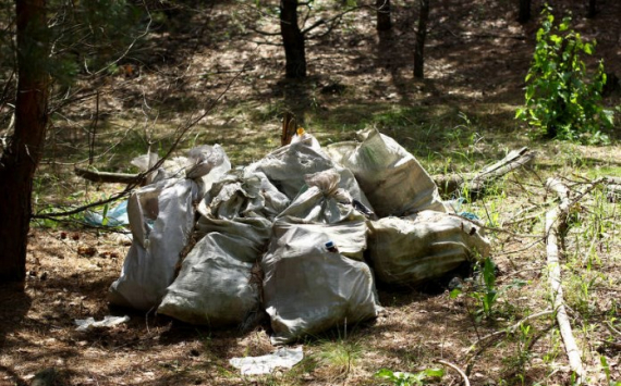 В Самарской области дачникам могут снизить плату за вывоз мусора