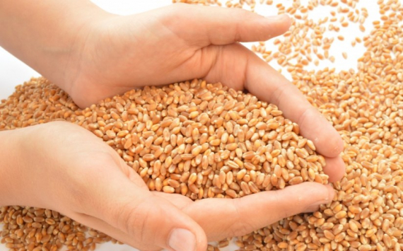 В Самарской области аграрии намолотили 1 млн тонн зерна