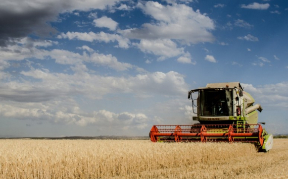 В России на поддержку аграрных предприятий направят 153 млрд рублей
