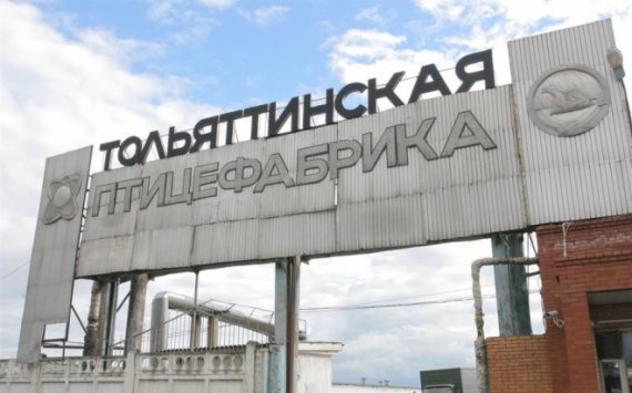 «Тольяттинская птицефабрика» избежала банкротства и встала на путь оздоровления